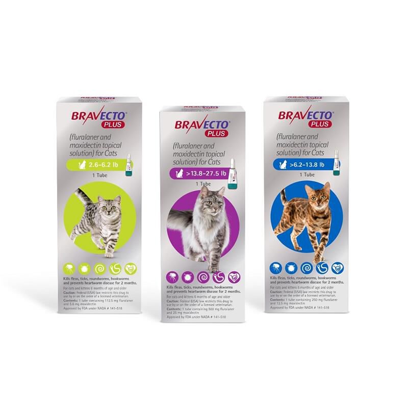 Bravecto Plus for Cats Topical Flea Tick Heartworm Allivet