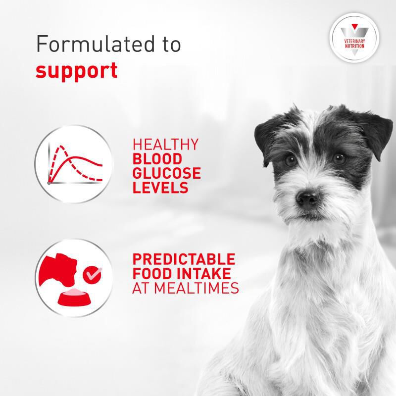 Royal Canin Veterinary Diet Adult Glycobalance Small Dog Dry Food, 1.5 lb