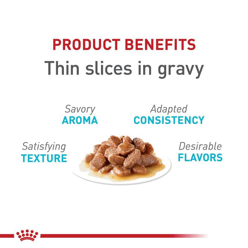 Royal Canin Feline Care Nutrition Urinary Care Adult Thin Slices in Gravy Canned Cat Food, 24 x 5.1 oz cans
