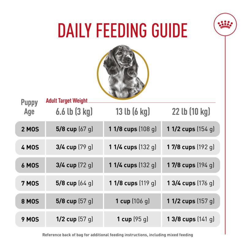 Royal Canin Breed Health Nutrition Dachshund Puppy Dry Dog Food, 2.5 lb bag