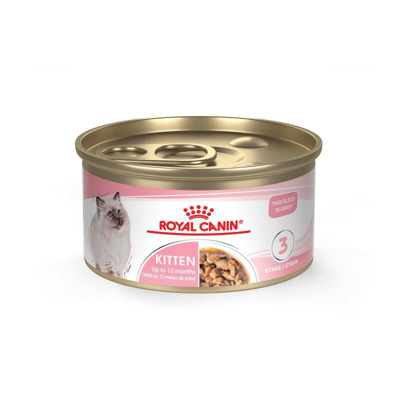 Royal Canin Feline Health Nutrition Kitten Thin Slices in Gravy Canned Cat Food, 24 x 3 oz cans