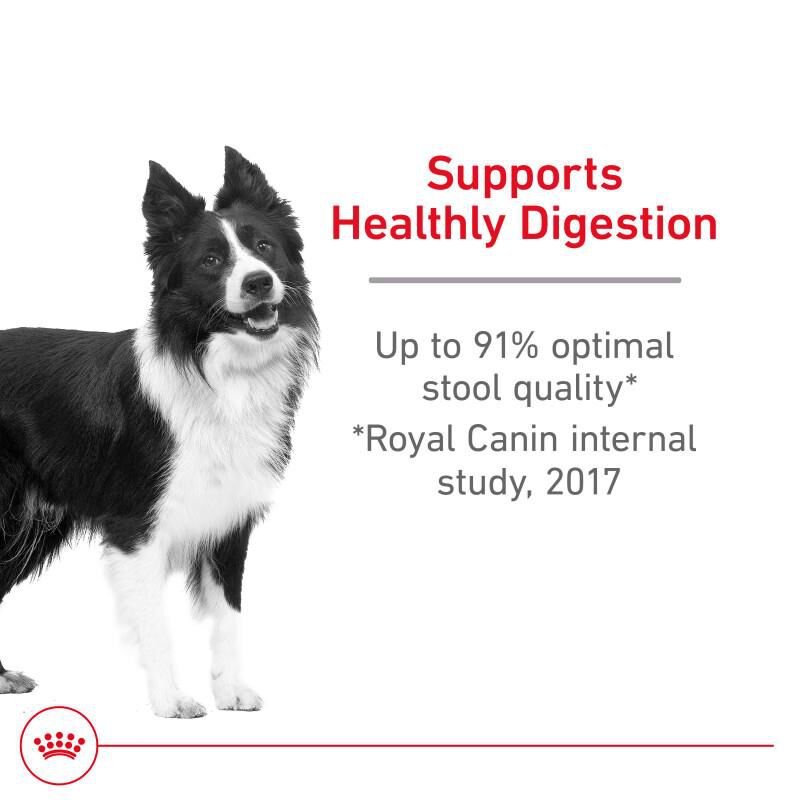 Royal Canin Canine Care Nutrition Adult Medium Digestive Care Dry Dog Food