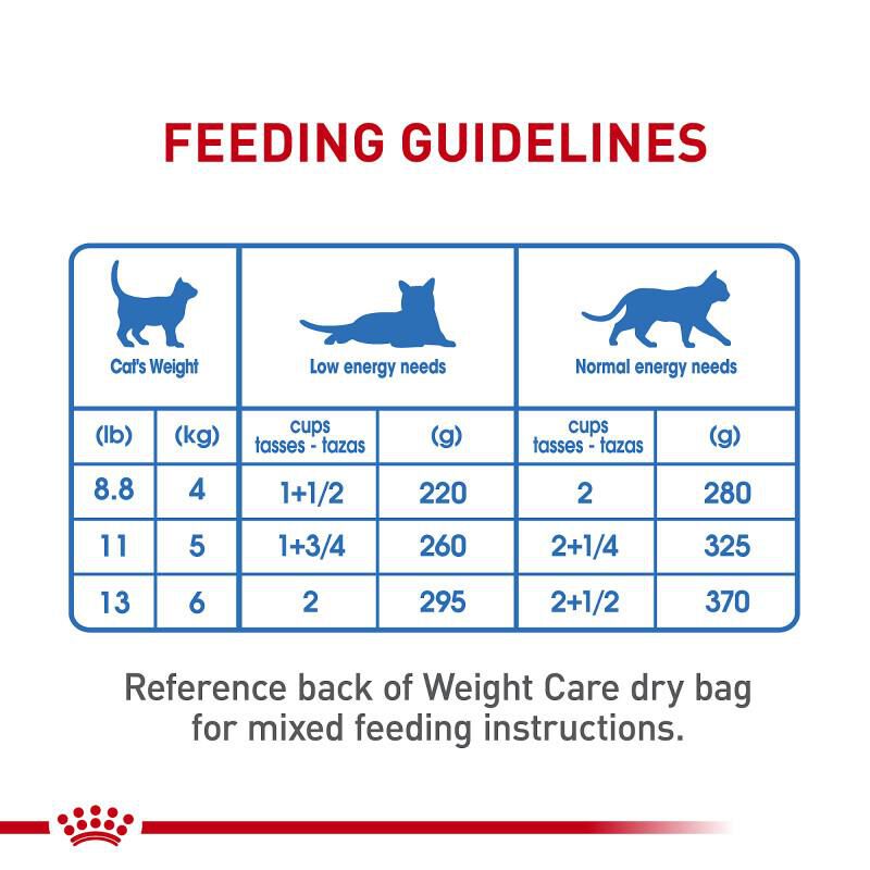 Royal Canin Feline Care Nutrition Adult Weight Care Loaf in Sauce Canned Cat Food, Case of 24