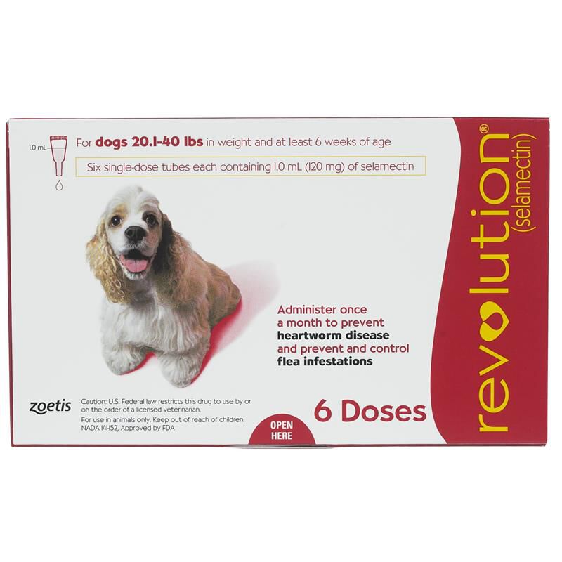 Revolution Topical for Dogs 20.1-40 Red, 6 Month Supply
