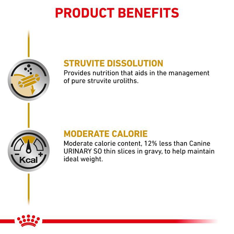 Royal Canin Veterinary Diet Adult Urinary SO Moderate Calorie Thin Slices in Gravy Canned Dog Food, 12 x 12.5 oz cans