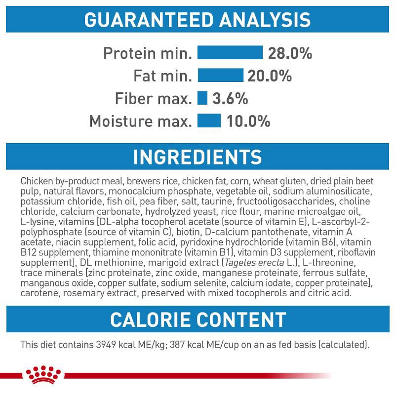 Royal Canin Size Health Nutrition Small Starter Mother & Babydog Dry Food