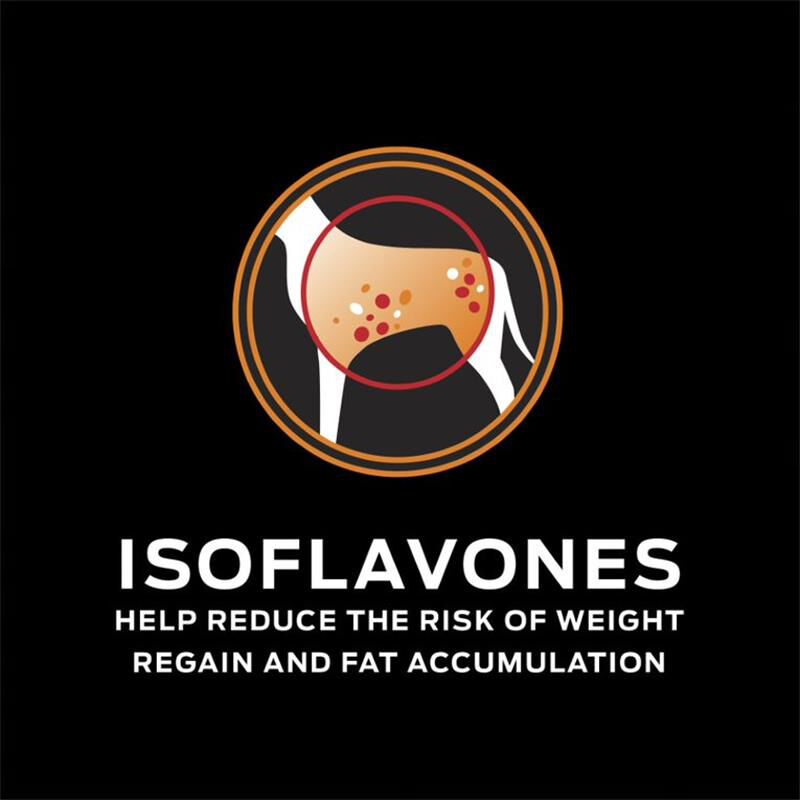 Overweight management dog food top