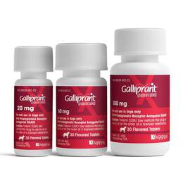 Galliprant (Grapiprant) Flavored Tablets