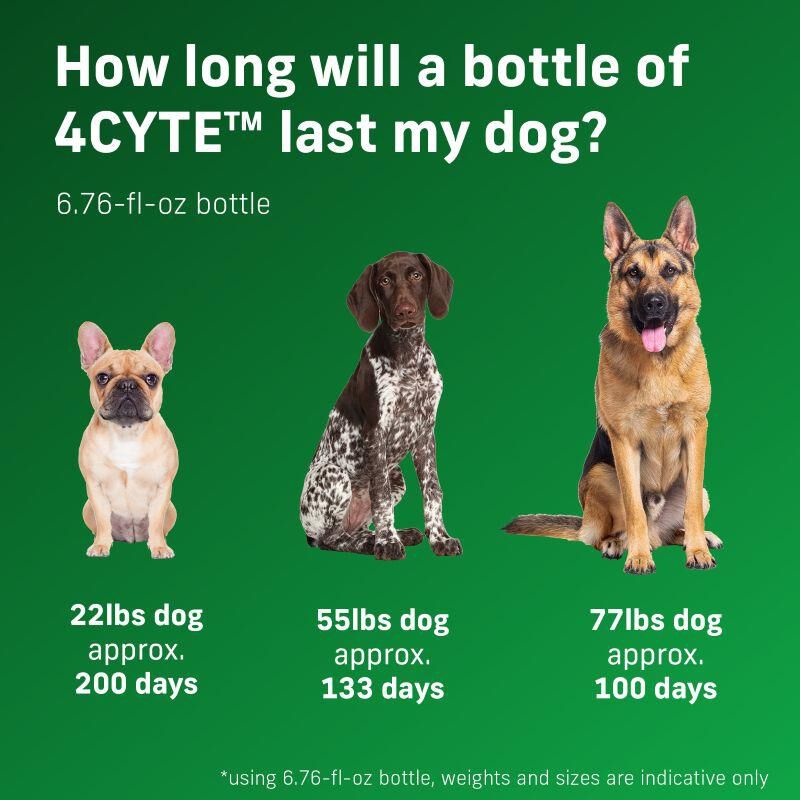 4CYTE Epiitalis Forte Gel Joint Supplement for Dogs, 100 ml