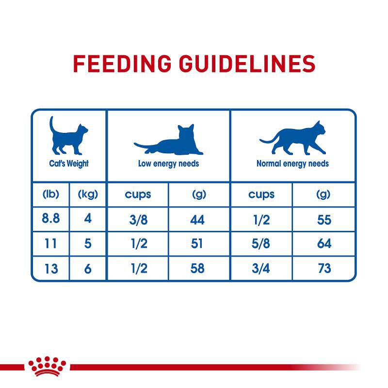 Royal Canin Feline Health Nutrition Indoor Long Hair Adult Dry Cat Food, 6 lb bag