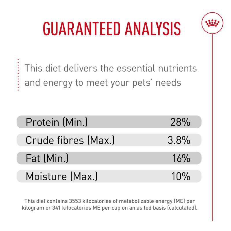 Royal Canin Breed Health Nutrition Miniature Schnauzer Puppy Dry Dog Food, 2.5 lb bag