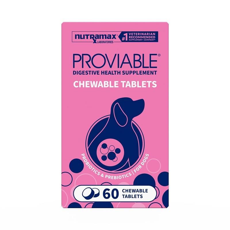 Proviable-DC Digestive Health Supplement for Dogs, 60 Chewable Tablets