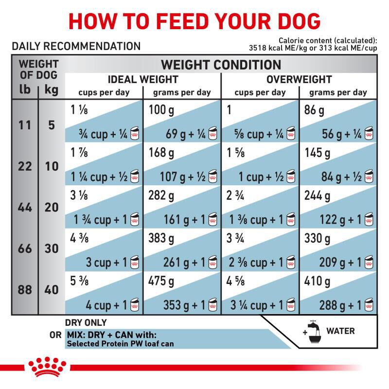 Royal Canin Veterinary Diet Selected Protein Potato & Whitefish Adult Dry Dog Food