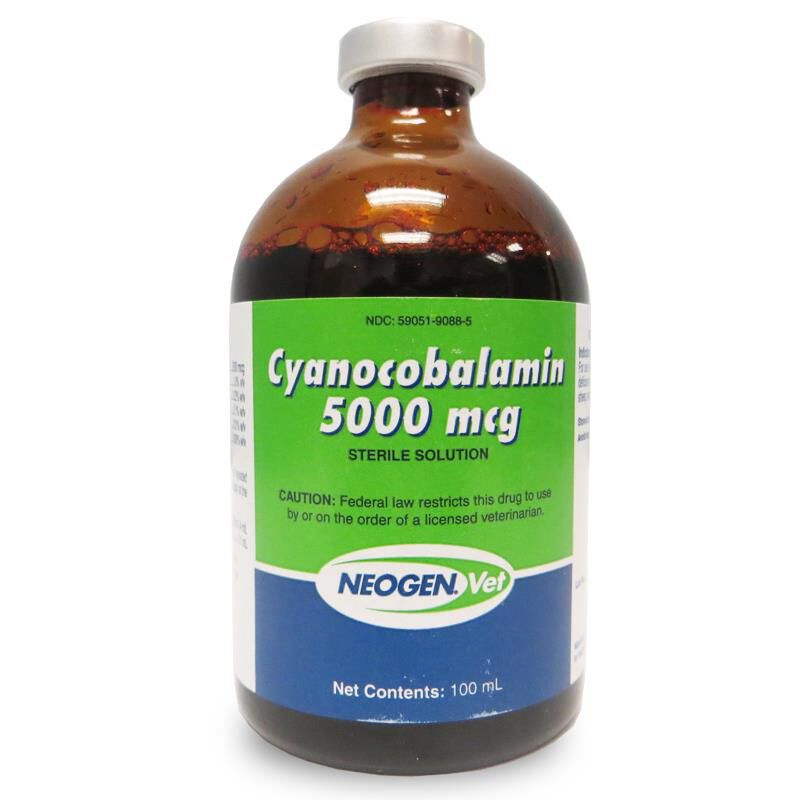 Cyanocobalamin Vitamin B12 5000 Mcg /mL for Horses Allivet