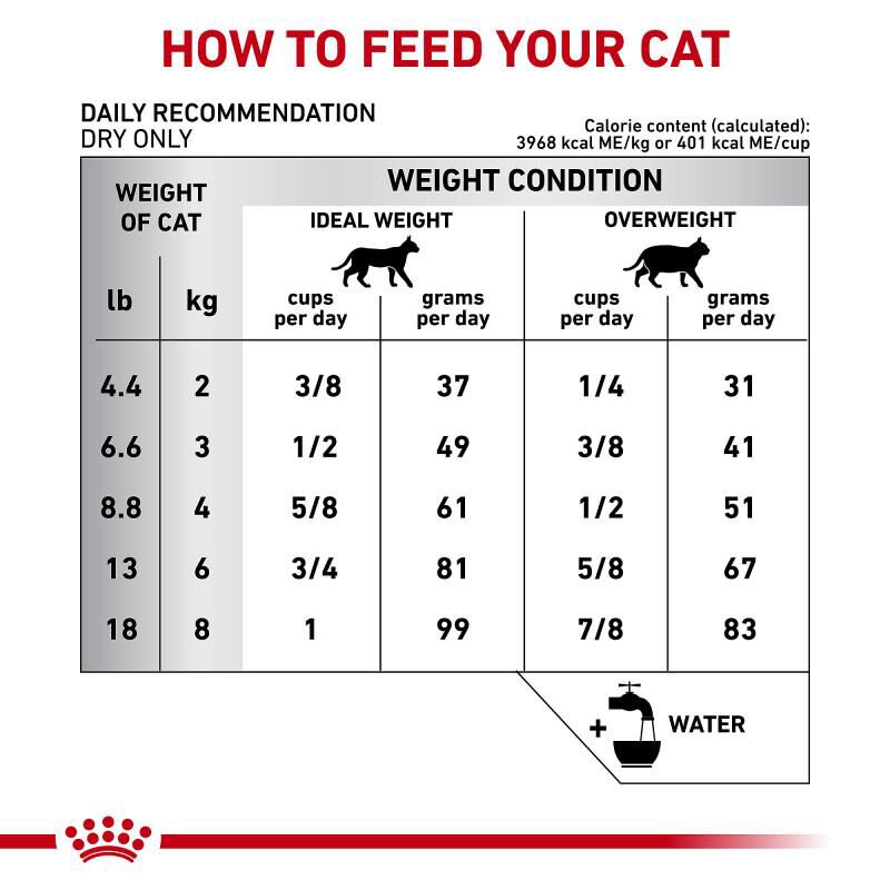 Royal Canin Veterinary Diet Adult Multifunction Renal Support + Hydrolyzed Protein Dry Cat Food, 6.6 lb bag
