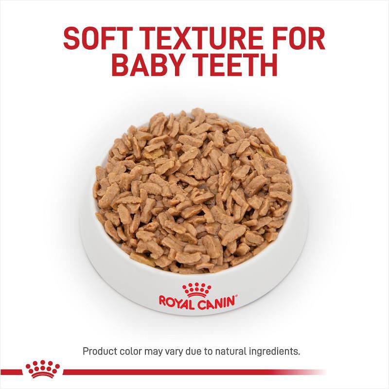 Royal Canin Size Health Nutrition Medium Puppy Thin Slices in Gravy Canned Food, 12 x 13 oz cans