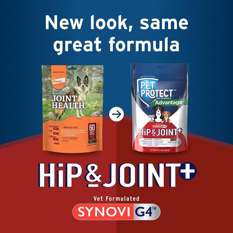 Pet Protect Hip & Joint + Synovi G4 Soft Chews for Dogs, 240 Ct.