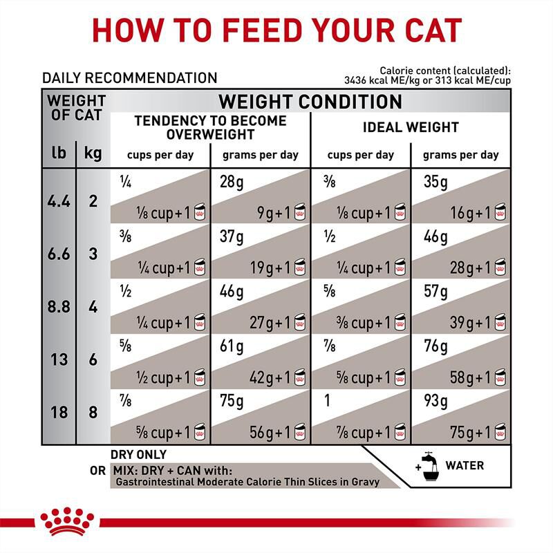 Royal Canin Veterinary Diet Adult Gastrointestinal Moderate Calorie Dry Cat Food, 6.6 lb bag