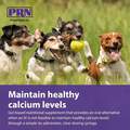 Calsorb Calcium Supplement Gel for Dogs, 12 ml