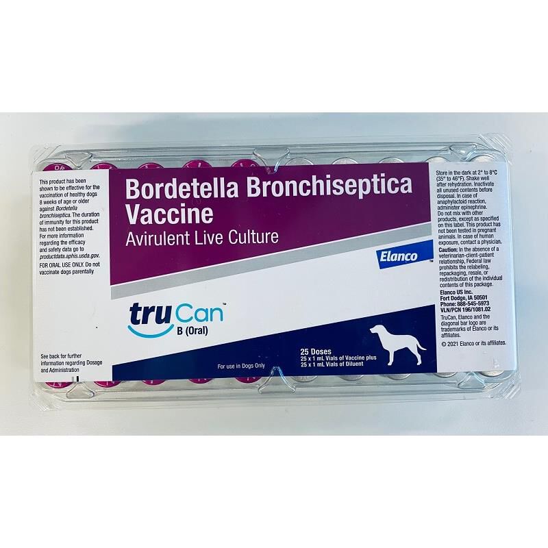 Can Bordetella Oral Vaccine Make Dogs Sleepy? Find Out!