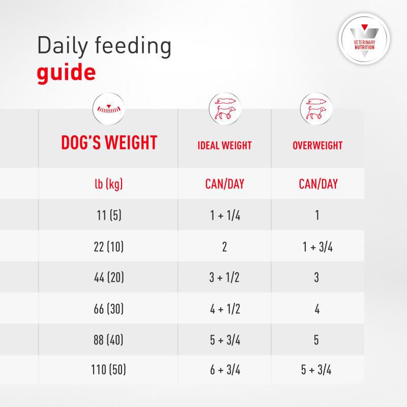 Royal Canin Veterinary Diet Adult Glycobalance Loaf in Sauce Canned Dog Food, 24 x 13.4 oz cans