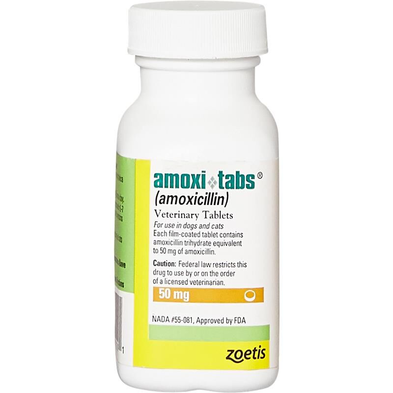 Amoxicillin for dog ear infection online