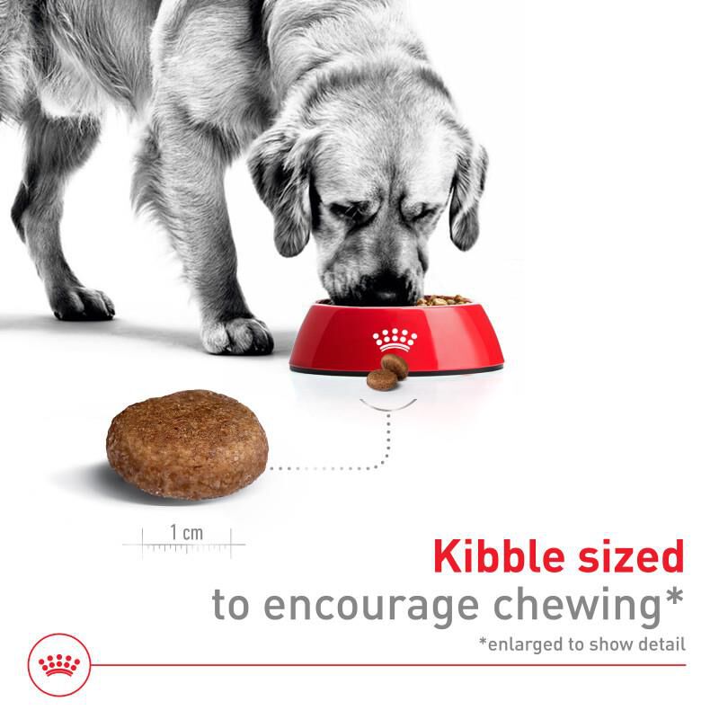 Royal Canin Size Health Nutrition Large Adult 5+ Adult Dry Dog Food, 30 lb bag