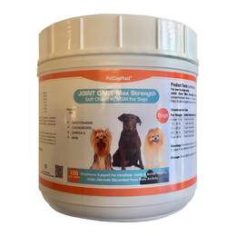 Kenalog Injection For Dogs And Cats 10Mg, 50 Mg/5 Ml | Allivet