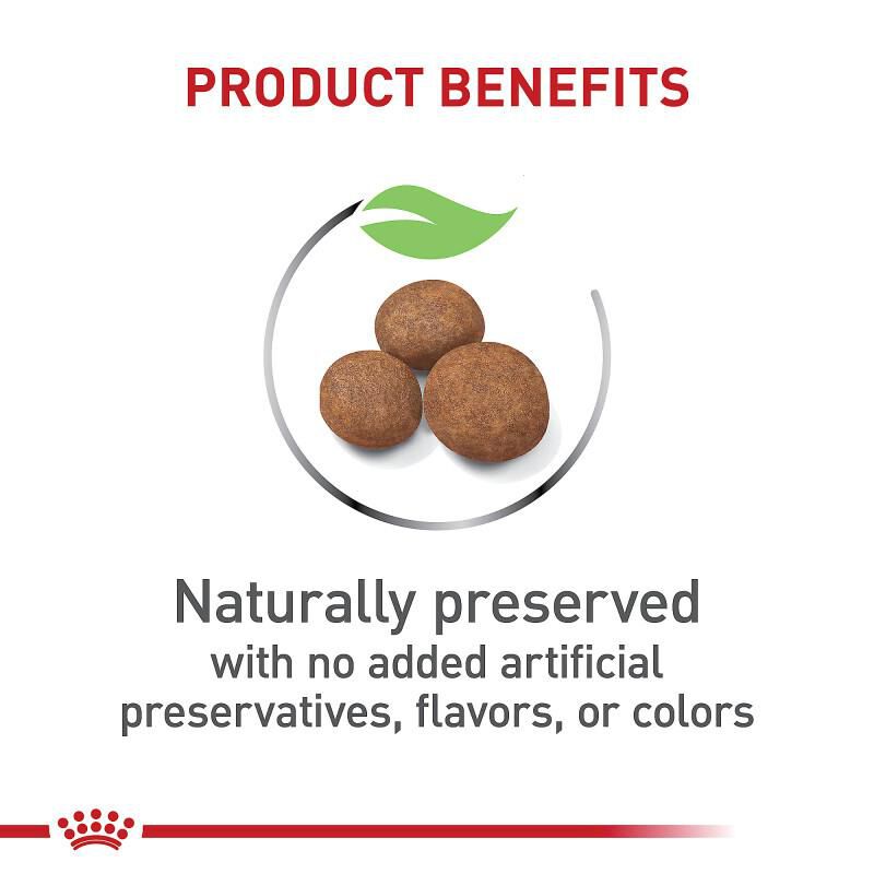 Royal Canin Size Health Nutrition Large Breed Puppy Dry Food