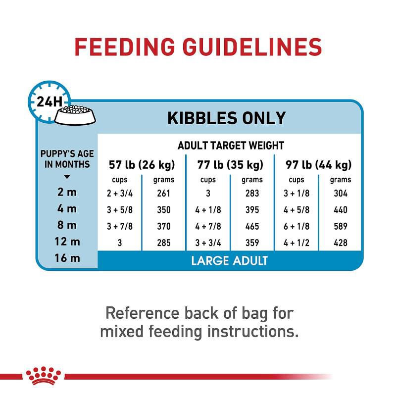 Royal Canin Size Health Nutrition Large Breed Puppy Dry Food