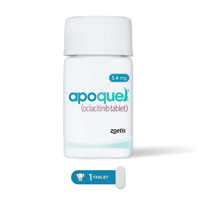 Apoquel for Dogs Control Itch in 24 Hours Allivet