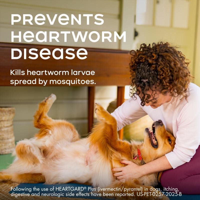 Heartgard Plus Chewables for Dogs