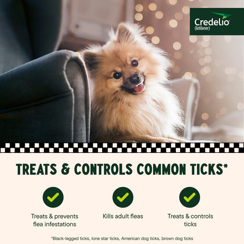 Credelio Flea & Tick Chewable Tablets for Dogs & Puppies 4.4-6 lbs (56.25 mg) Yellow 6 Month Supply