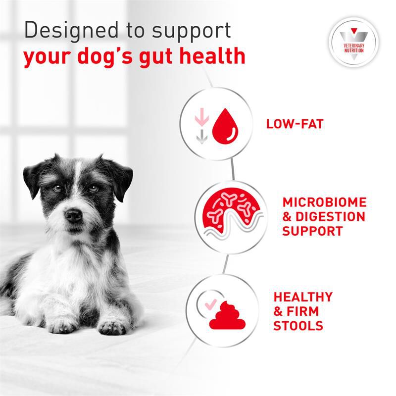 Royal Canin Appetite Stimulation Fresh Frozen Dog Food, 6.2 lb bag with 7 x 14.1 oz pouches