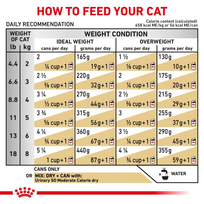 Royal Canin Veterinary Diet Adult Urinary SO Moderate Calorie Morsels in Gravy Canned Cat Food, 24 x 3 oz cans