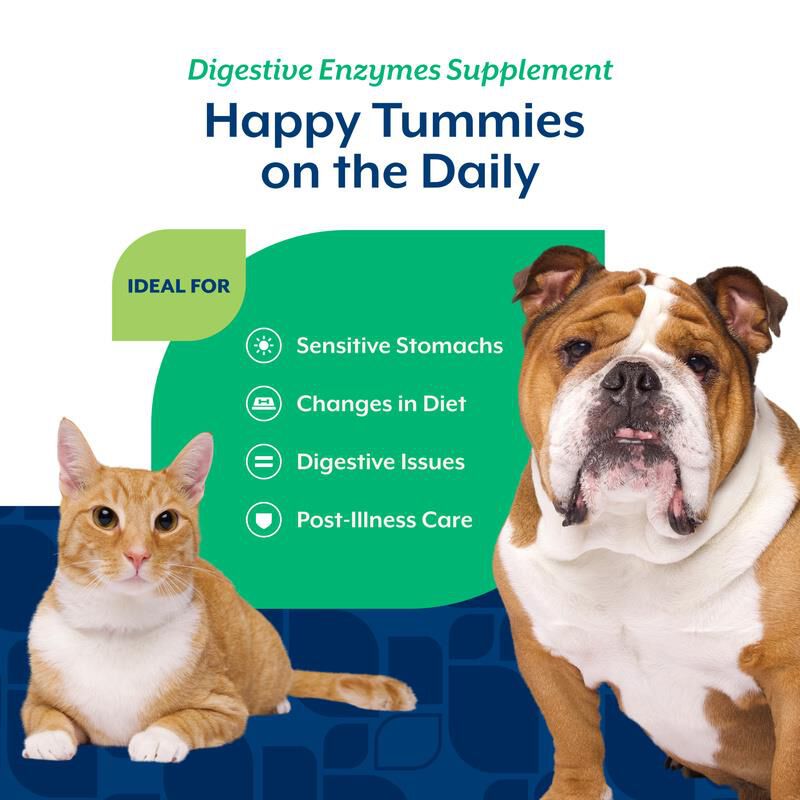 NaturVet Digestive Enzymes Powder, 1 lb
