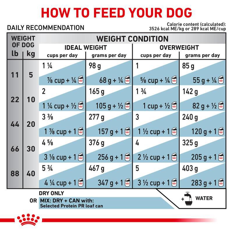 Royal Canin Veterinary Diet Selected Protein Potato & Rabbit Adult Dry Dog Food, 7.7 lb bag