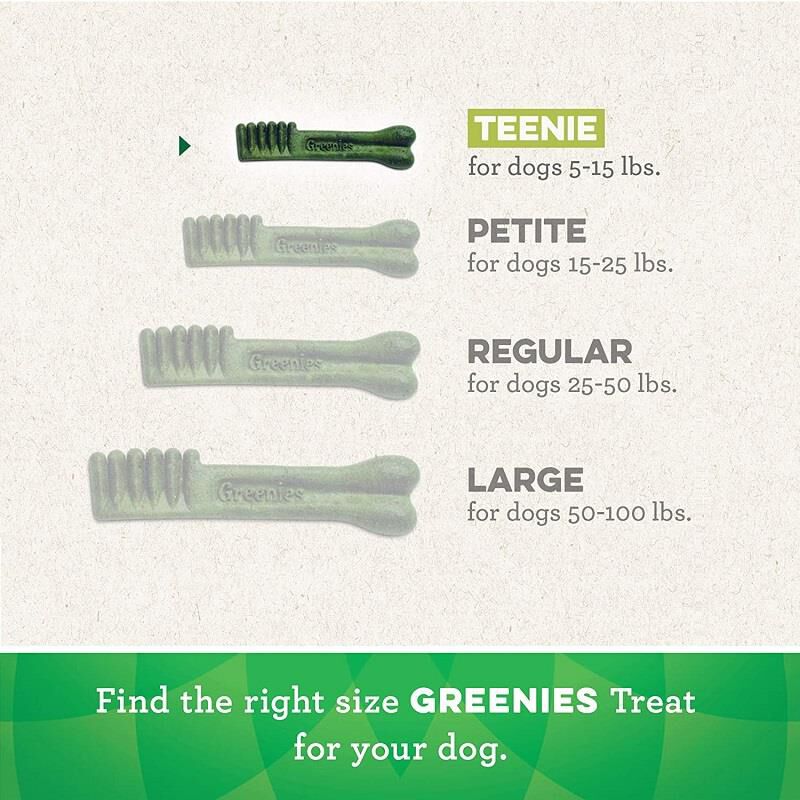 Greenies Fresh Dental Dog Treats, 12 oz Teenie 5-15 lbs (43 ct)