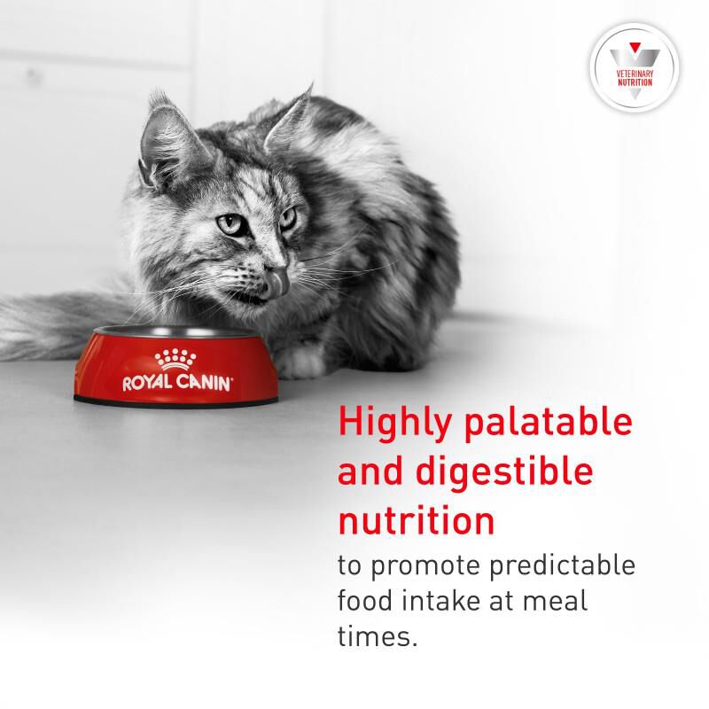 Royal Canin Veterinary Diet Glycoadvanced Dry Food for Diabetic Cats