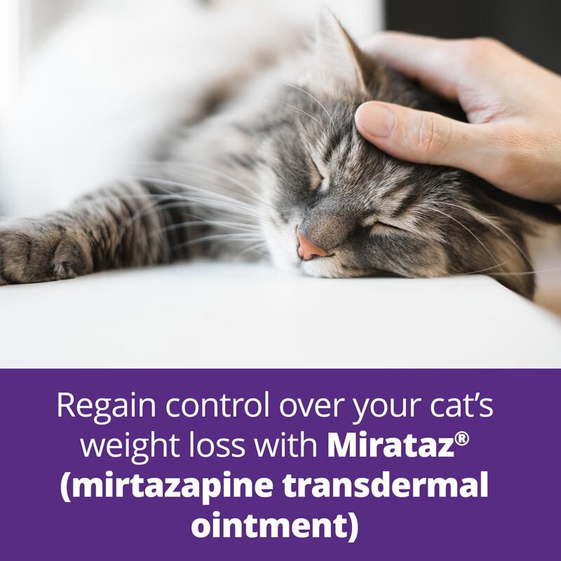 Mirataz 100 mg/tube in 5-gram tube (20 mg per 1 gram)
