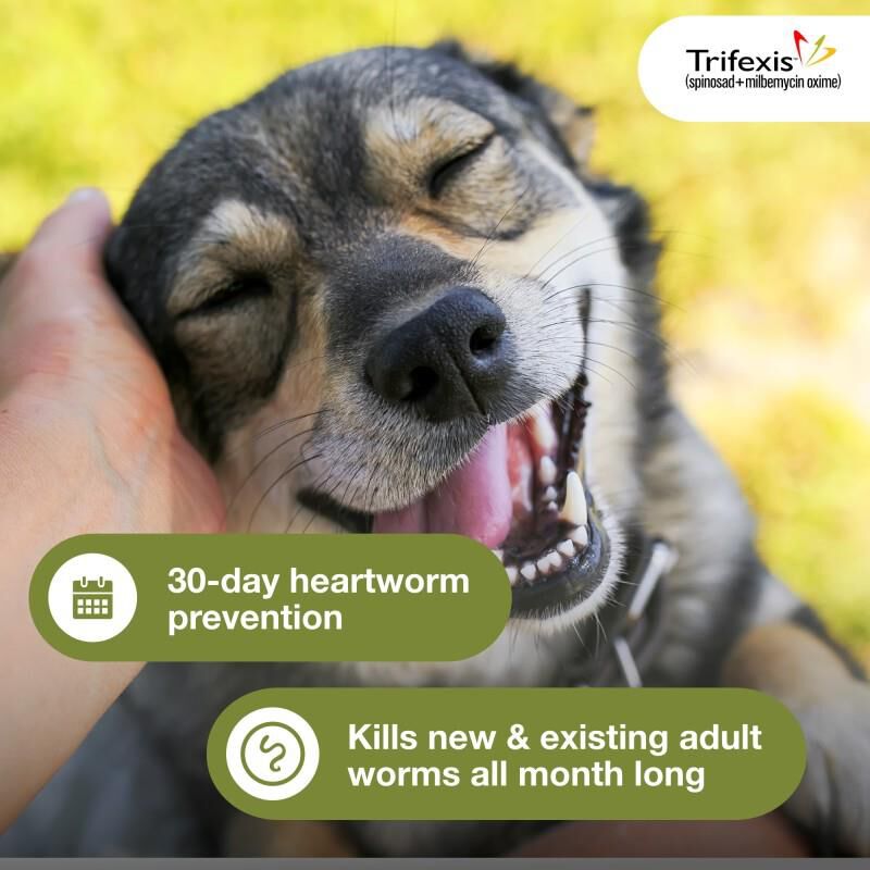 Trifexis Chewable Tablets for Dogs 20.1-40 lbs Green, 3 Month Supply