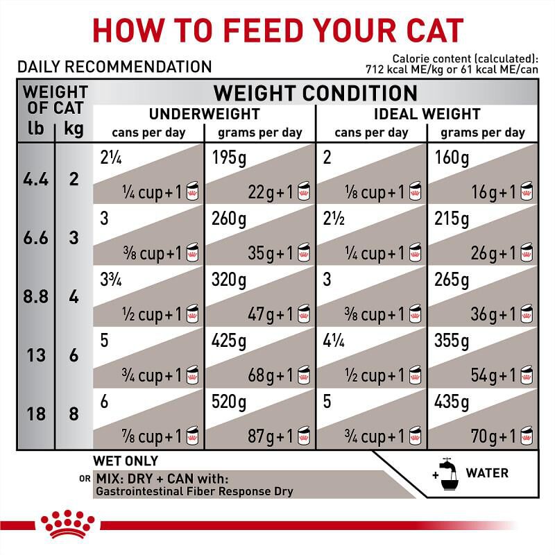 Royal Canin Veterinary Diet Adult Gastrointestinal Fiber Response Thin Slices in Gravy Canned Cat Food, 24 x 3 oz cans