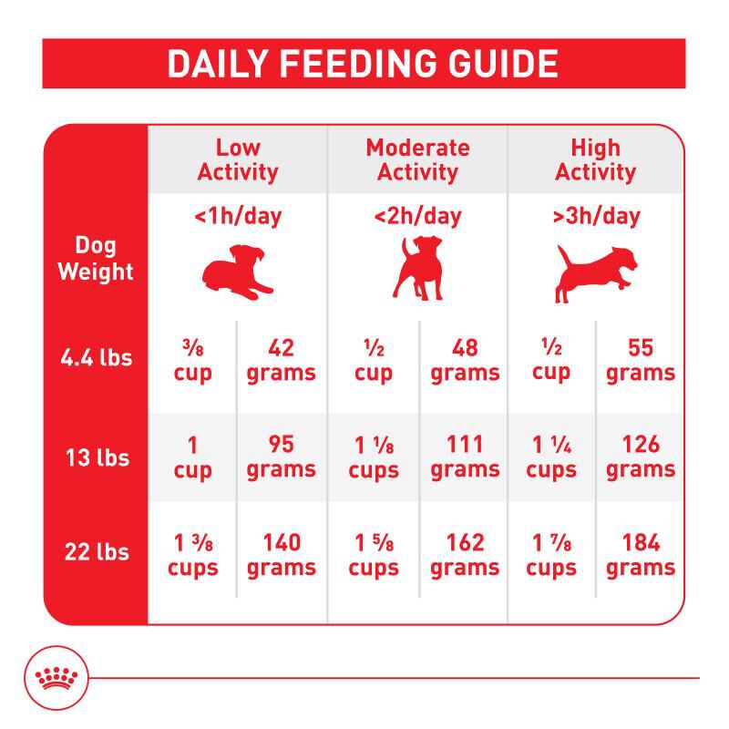 Royal Canin Size Health Nutrition Small Indoor Adult Dry Dog Food, 2.5 lb bag