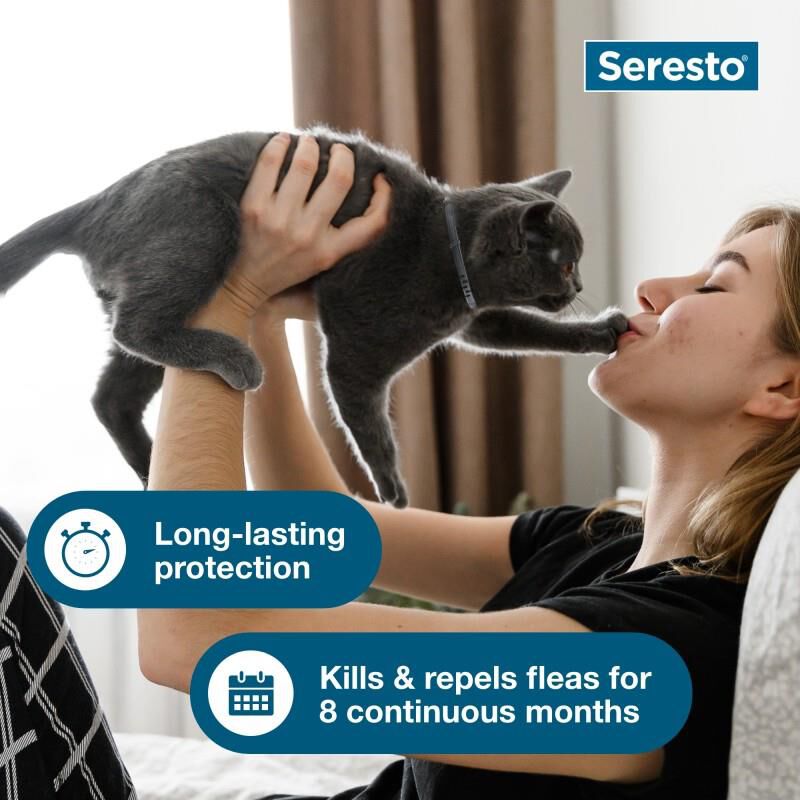 Seresto for Cats with Fleas and Ticks (2 collars)