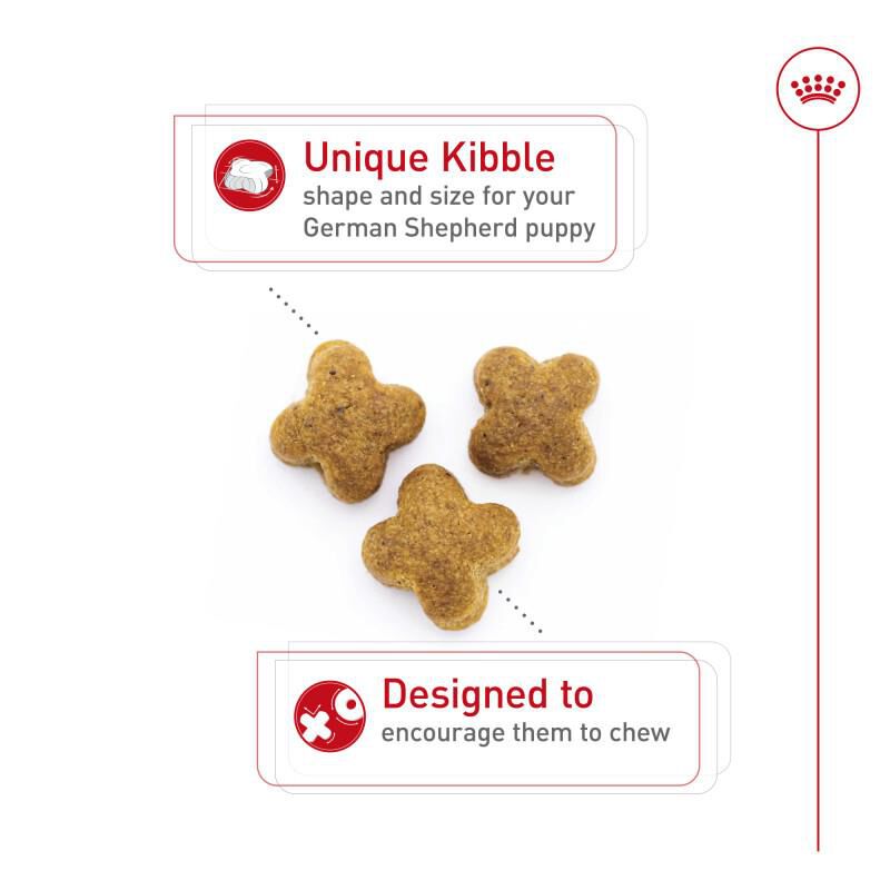 Royal Canin Breed Health Nutrition German Shepherd Puppy Dry Dog Food