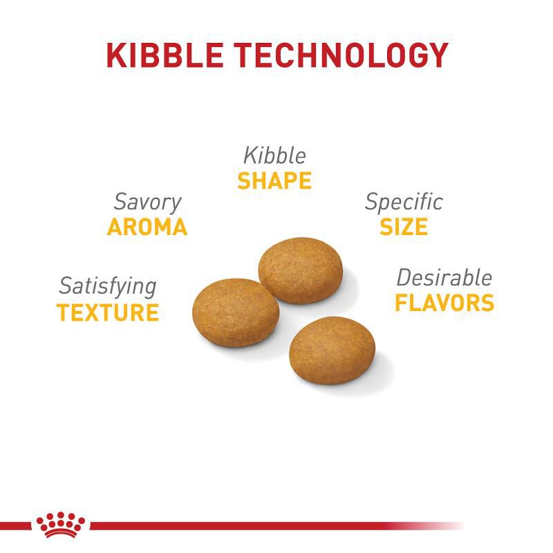 Royal Canin Canine Care Nutrition Adult Large Sensitive Skin Care Dry Dog Food, 30 lb bag