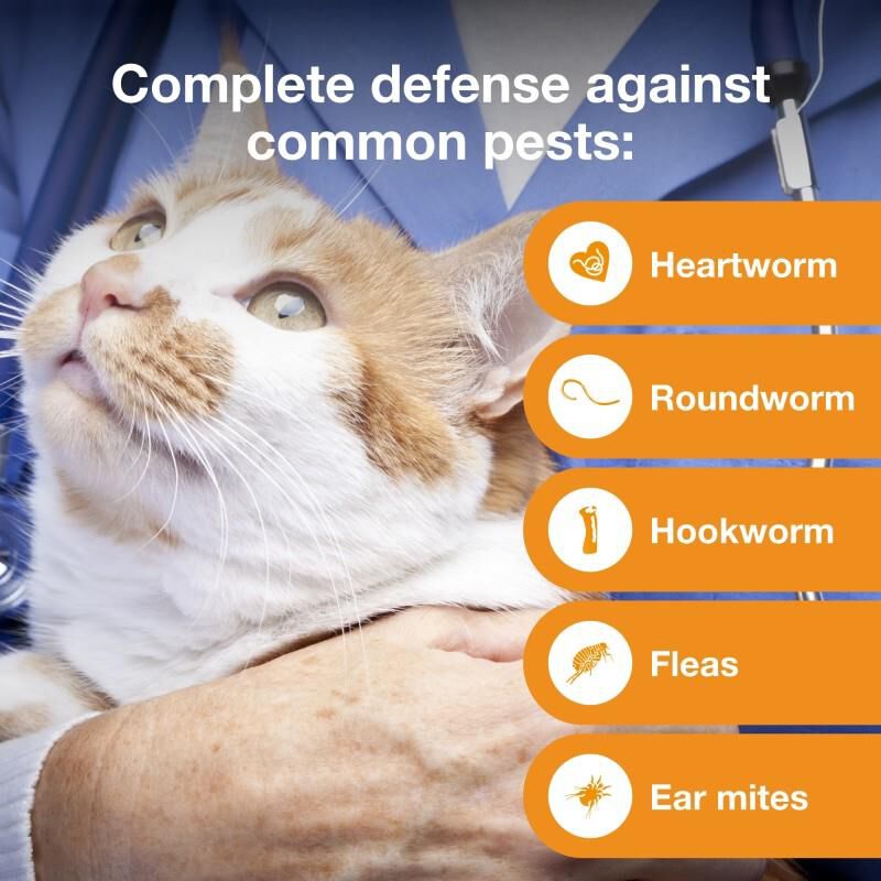 Advantage Multi for Cats 9.1-18 lbs Purple, 1 Month Supply