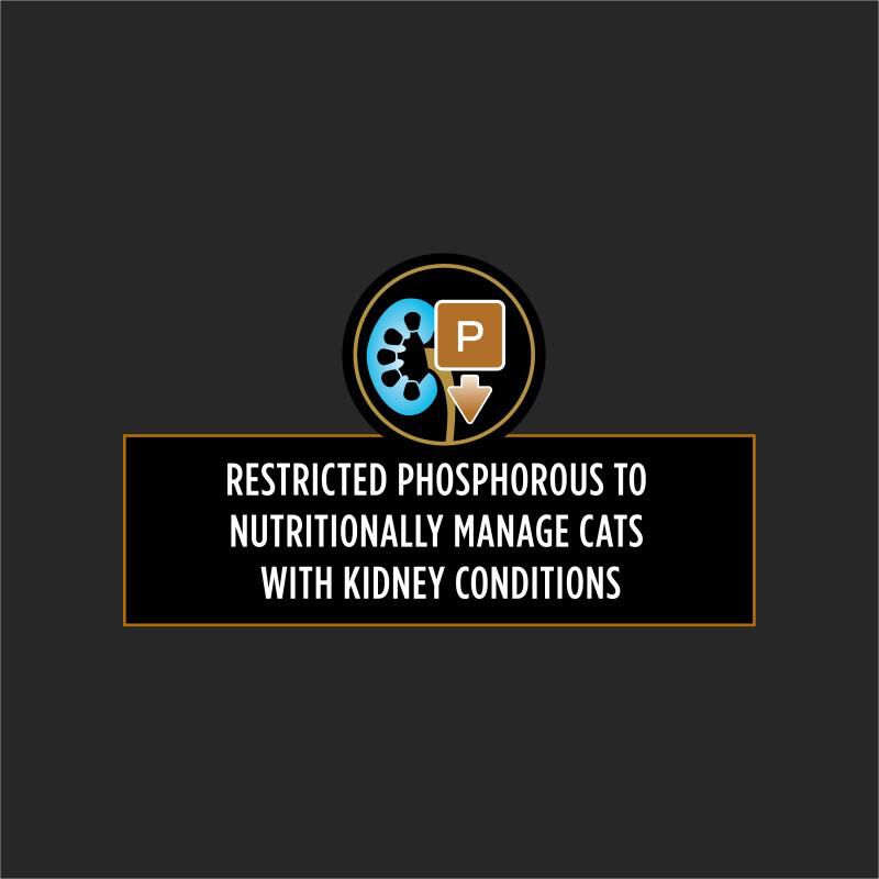 Purina Pro Plan Veterinary Diets NF Kidney Function Advanced Care Adult Cat Food, (24 X 5.5 oz) Cans
