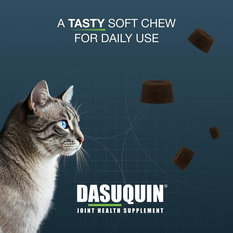Dasuquin for Cats, 84 Soft Chews