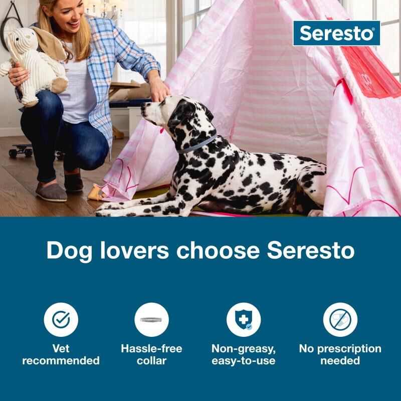Seresto Flea and Tick Prevention Collar for Large Dogs, 8 month flea and tick prevention